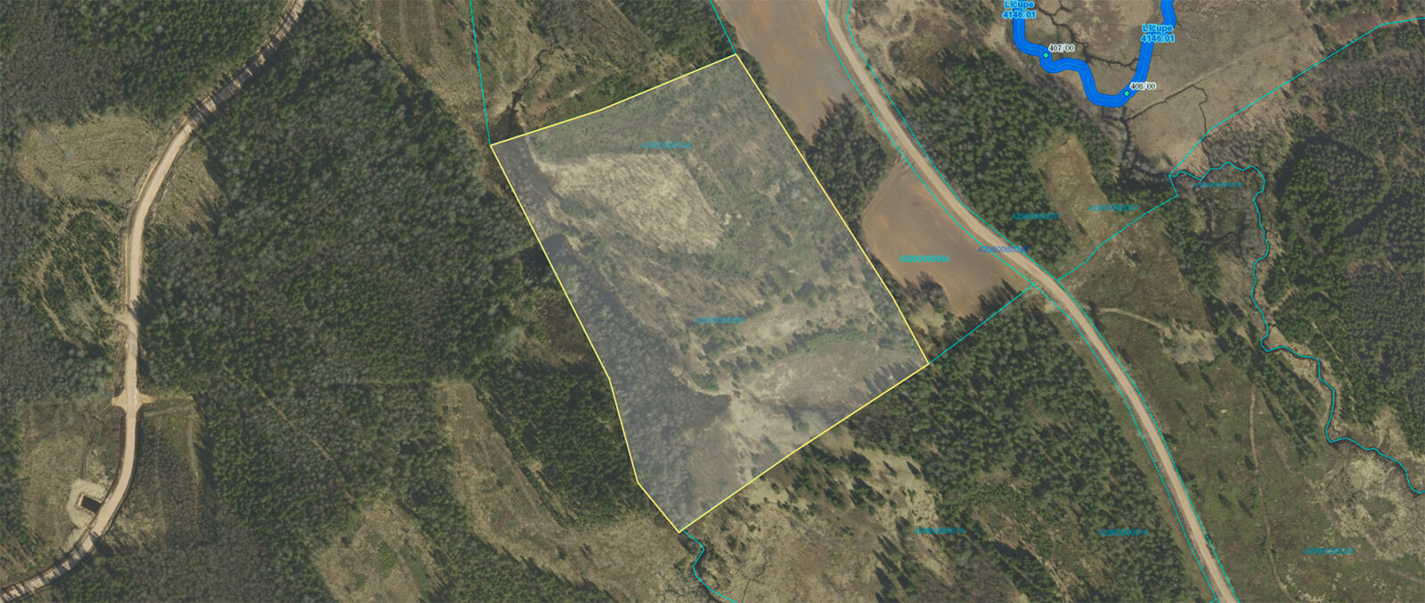 Meža izsoles rezultātā pārdots meža zemes īpašums Bauskas