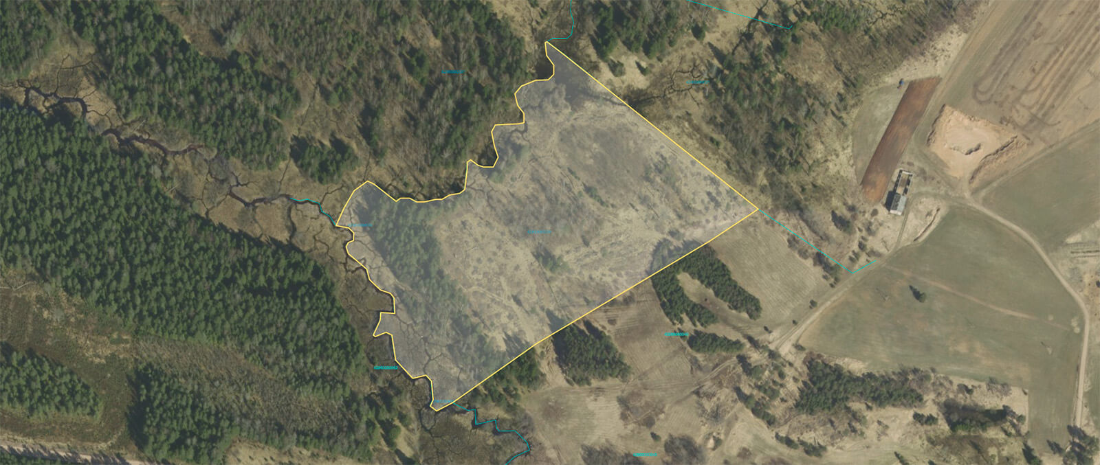 Meža izsoles rezultātā pārdots meža zemes īpašums Stikla kalns