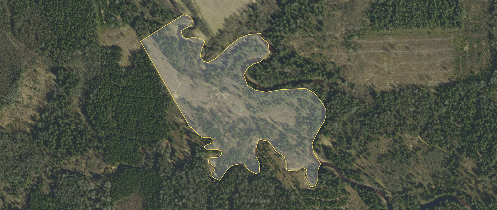 Meža izsoles rezultātā pārdots meža zemes īpašums Jaunvedzītes