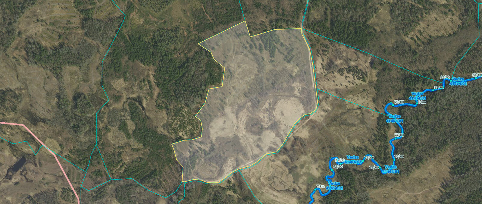 Meža izsoles rezultātā pārdots meža zemes īpašums Jaundukuri