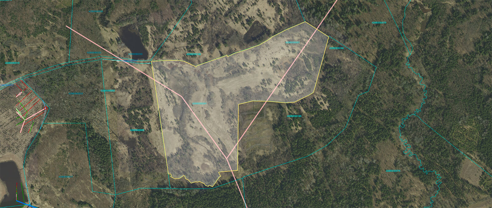 Meža izsoles rezultātā pārdots meža zemes īpašums Dambakalns