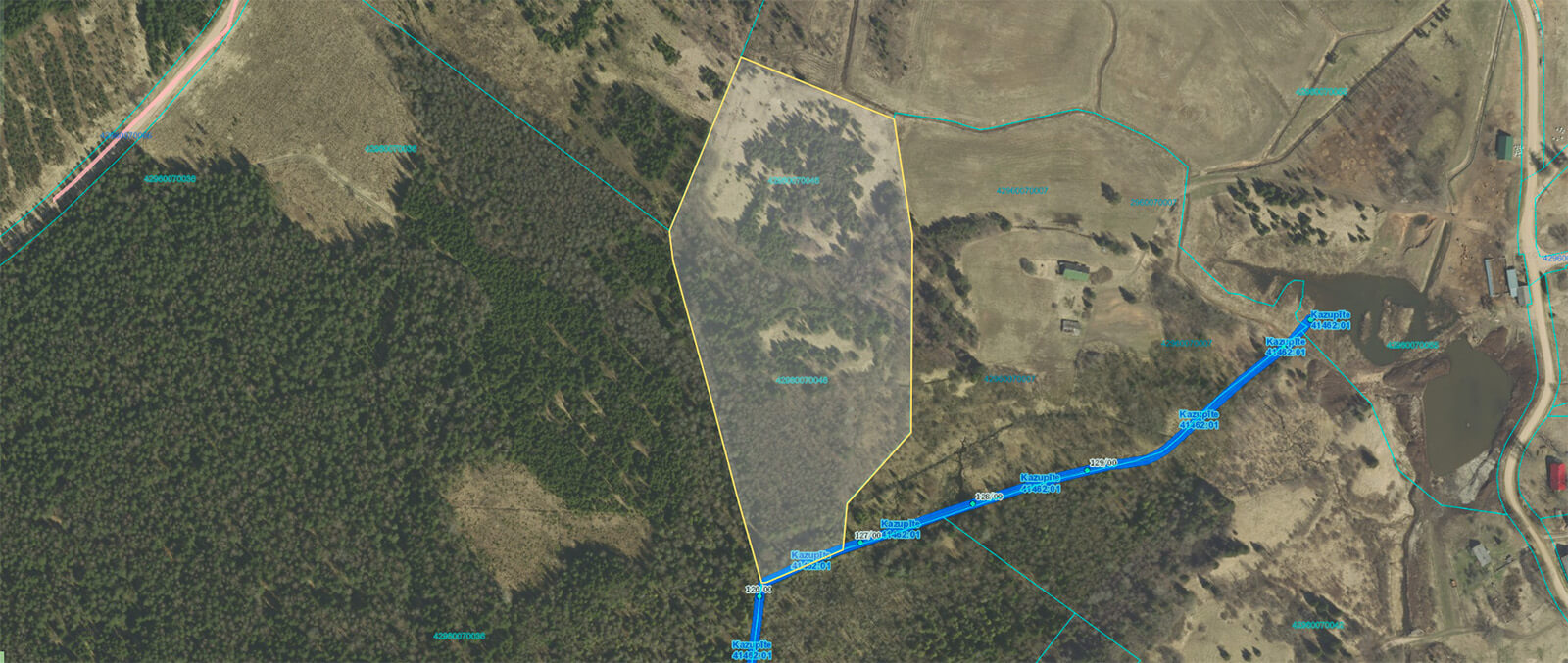 Meža izsoles rezultātā pārdots meža zemes īpašums Dambakalns